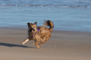 Rue running