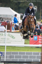 Horse Jumping