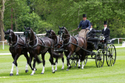 Boyd Exell - Driven Dressage