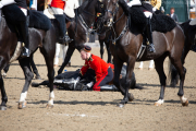 The HouseHold Cavalry