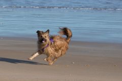Rue running