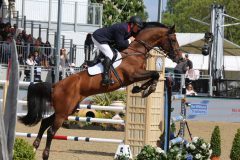 Horse Jumping