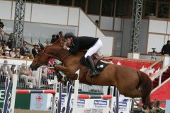 Horse Jumping