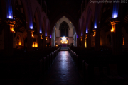 Advent Lights