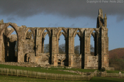 Bolton Abbey