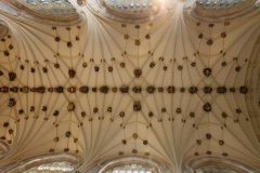 Winchester Cathedral