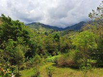 Gardens above Talamanca
