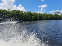 Boat trip to Tortuguero