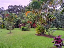 Gardens at Volcano Lodge