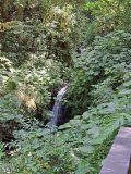 Watrerfall in Monteverde