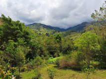 Gardens above Talamanca