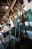 Coffee sorting machine