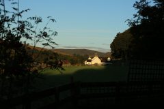 Early morning view