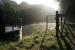 Morning mist