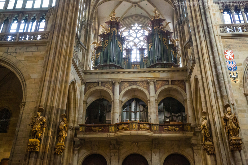 The Organ