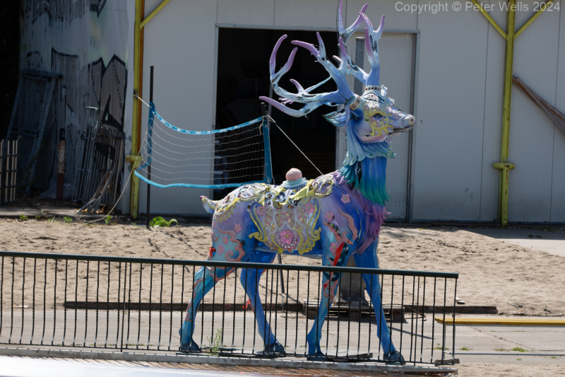 Colourful Stag