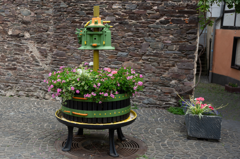 Wine press as a flower bed