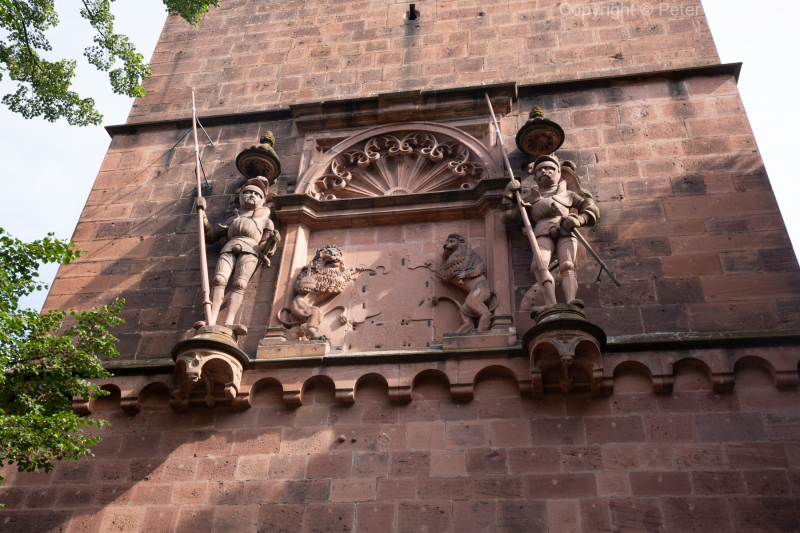 Guardians of the Castle