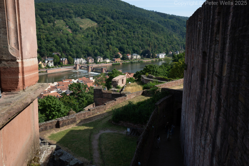 The Rhine