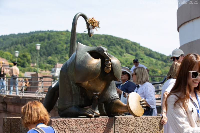 The Heidelberg Monkey