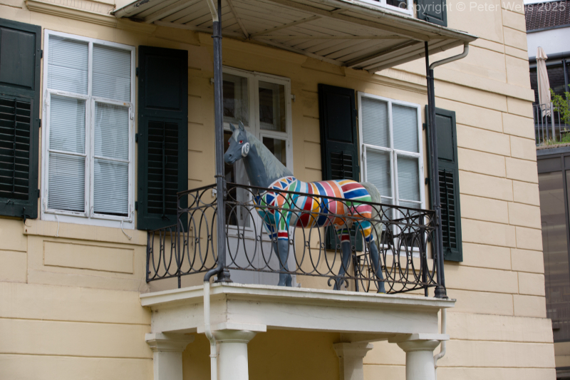 Painted Horse