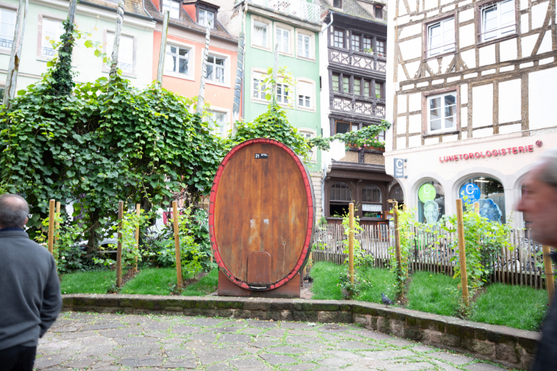 Oak wine barrel