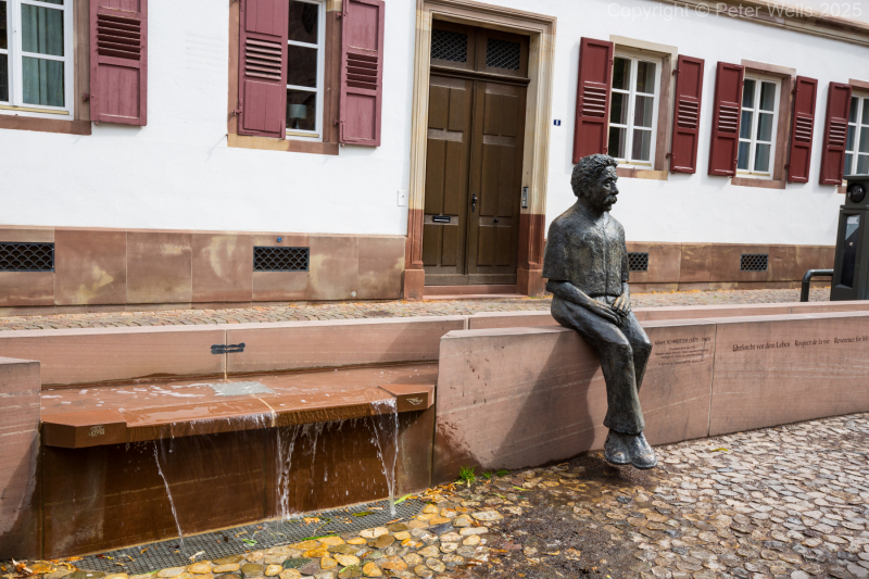 Albert Schweitzer